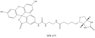 FITC-Biotin 