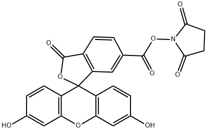 6-FAM NHS Ester