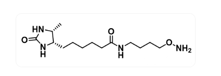 Desthiobiotin-C4-oxyamine