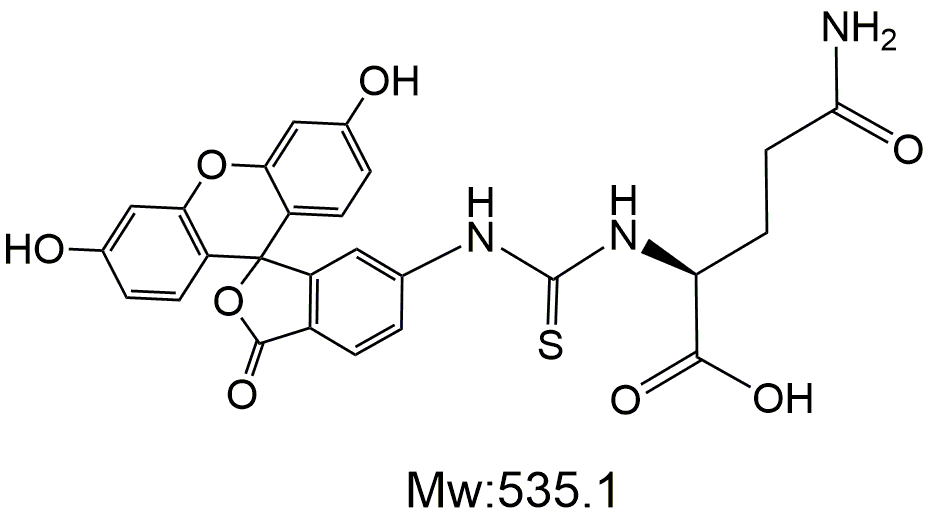 FITC-Glutamine，荧光素FITC修饰的谷氨酰胺