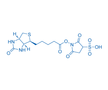 Biotin sulfo-N-hydroxysuccinimide ester 