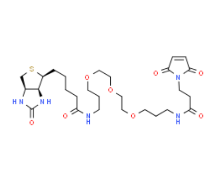 生物素-PEG3-马来酰亚胺	 