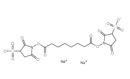BS3 Crosslinker disodium 
