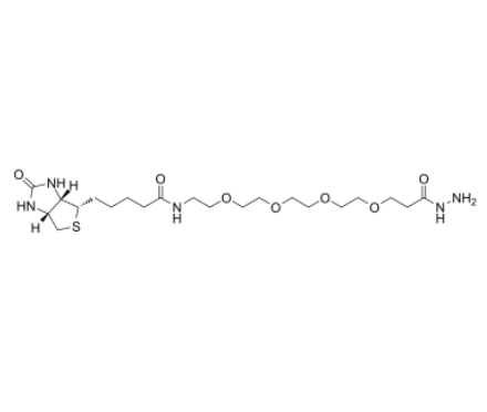 Biotin-PEG4-Hydrazide 