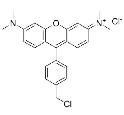 MitoTracker Orange CMTMRos 
