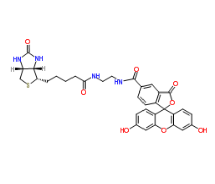 BIOTIN-4-FLUORESCEIN 