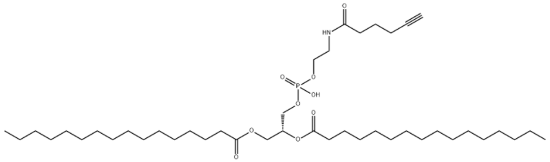 DPPE-Alkyne 