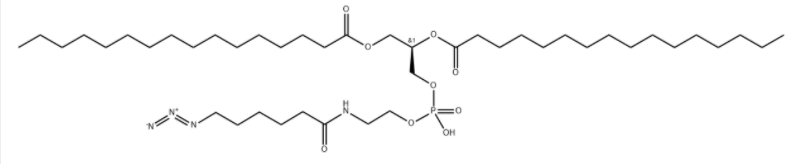 DPPE-Azide  