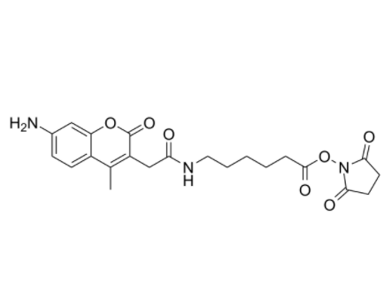 AMCA-X 琥珀酰亚胺酯	