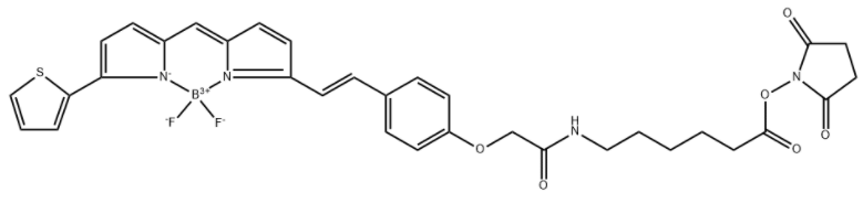 BDP 630/650 X NHS ester 