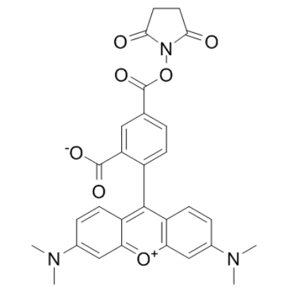 5-羧基四甲基罗丹明琥珀酰亚胺酯	 