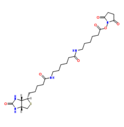 Biotin-LC-LC-NHS 
