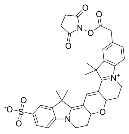 	Cy3B NHS ester
