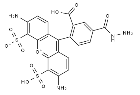 BP Fluor 488 Hydrazide	 