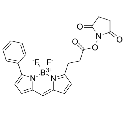 BIODIPY R6G ester 