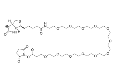 Biotin-PEG12-NHS ester 