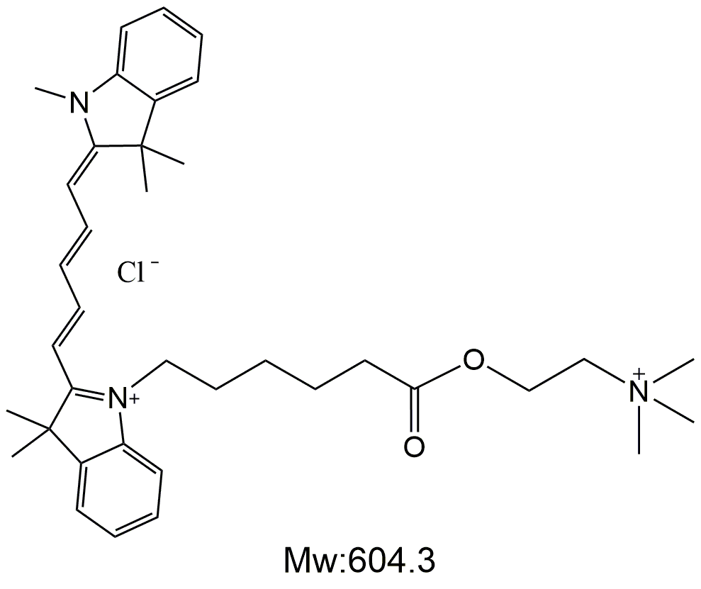 Cy5-Choline Chloride，Cy5荧光标记胆碱