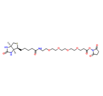 	Biotin-PEG4-NHS ester 