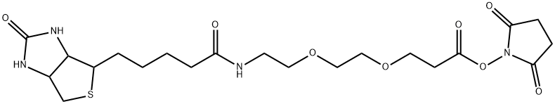Biotin-PEG2-NHS ester