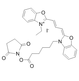 	CY2-SE 