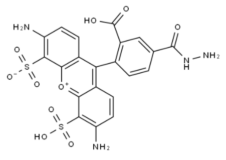 BP Fluor 488 Hydrazide 
