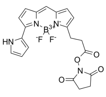 Py-BODIPY-NHS ester 