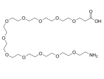 Amino-PEG11-acid  