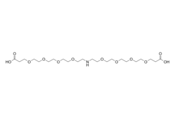 	NH-(PEG4-acid)2 