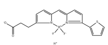 BDP 558/568-羧酸	 