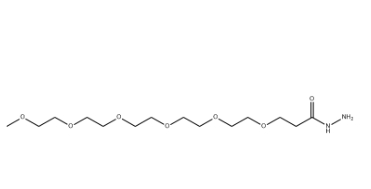 H2N-PEG5-Hydrazide