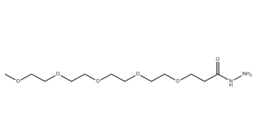 H2N-PEG4-Hydrazide