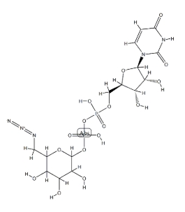 UDP-6-N3-Glucose