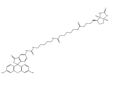 5-FITC Biotin