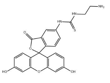 5-FITC-C2-amine