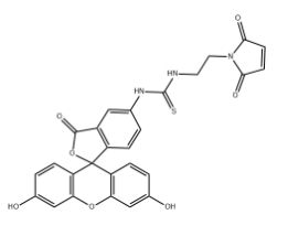 5-FITC-Maleimide