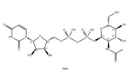 UDP-GlcNAc