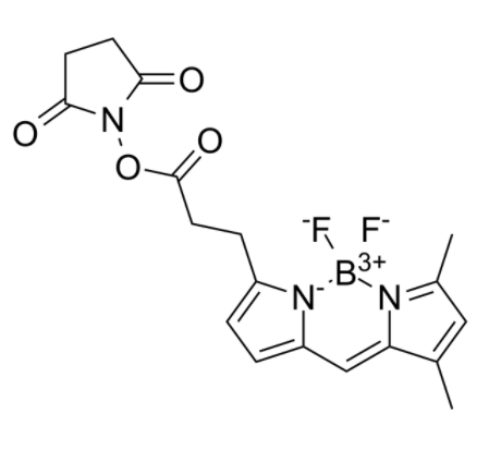 BDP FL NHS Ester 