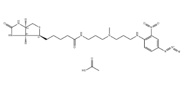 可被光活化的生物素醋酸盐