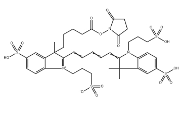 AF 647 NHS ester