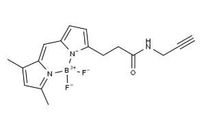 BDP FL alkyne