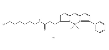 BDP-R6G-amine