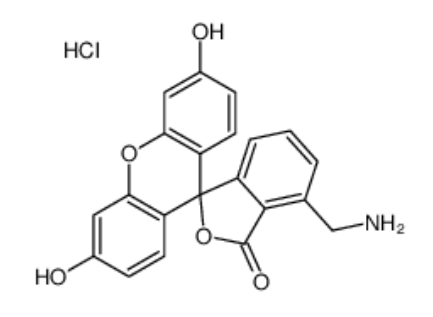 	4’-胺甲基荧光素盐酸盐	 