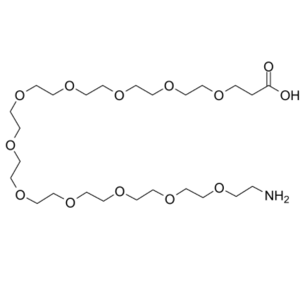 Amino-PEG11-acid 