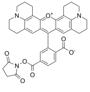 	6-羧基-X-罗丹明琥珀酰亚胺酯	 