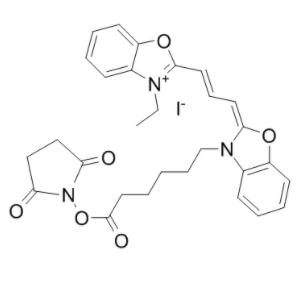 CY2-SE 