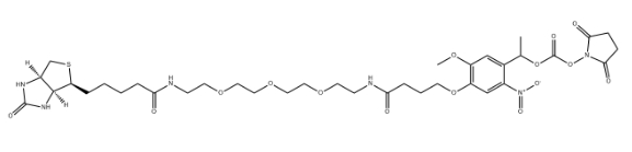生物素-PEG3-NHS酯