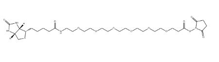 Biotin-PEG5-NHS ester