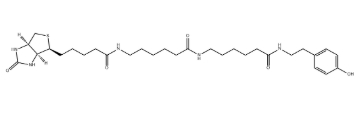 Biotin-XX Tyramide Reagent，cas：851113-28-5.png