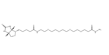 （+）-Biotin-PEG4-Hydrazide
