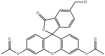  5-氯甲基荧光素二乙酸酯